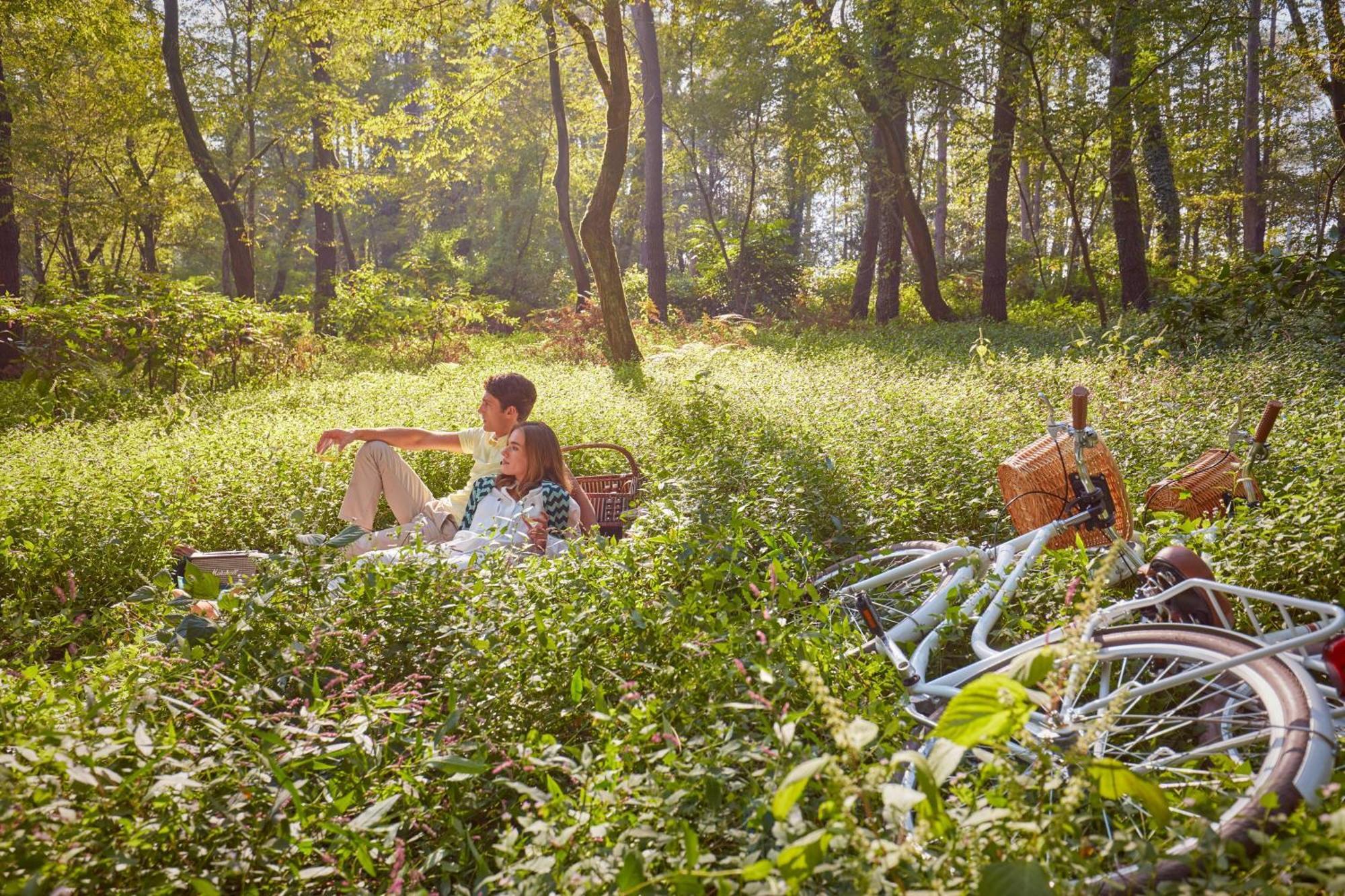 Paragraph Resort & Spa Shekvetili, Autograph Collection Εξωτερικό φωτογραφία A picnic in the woods