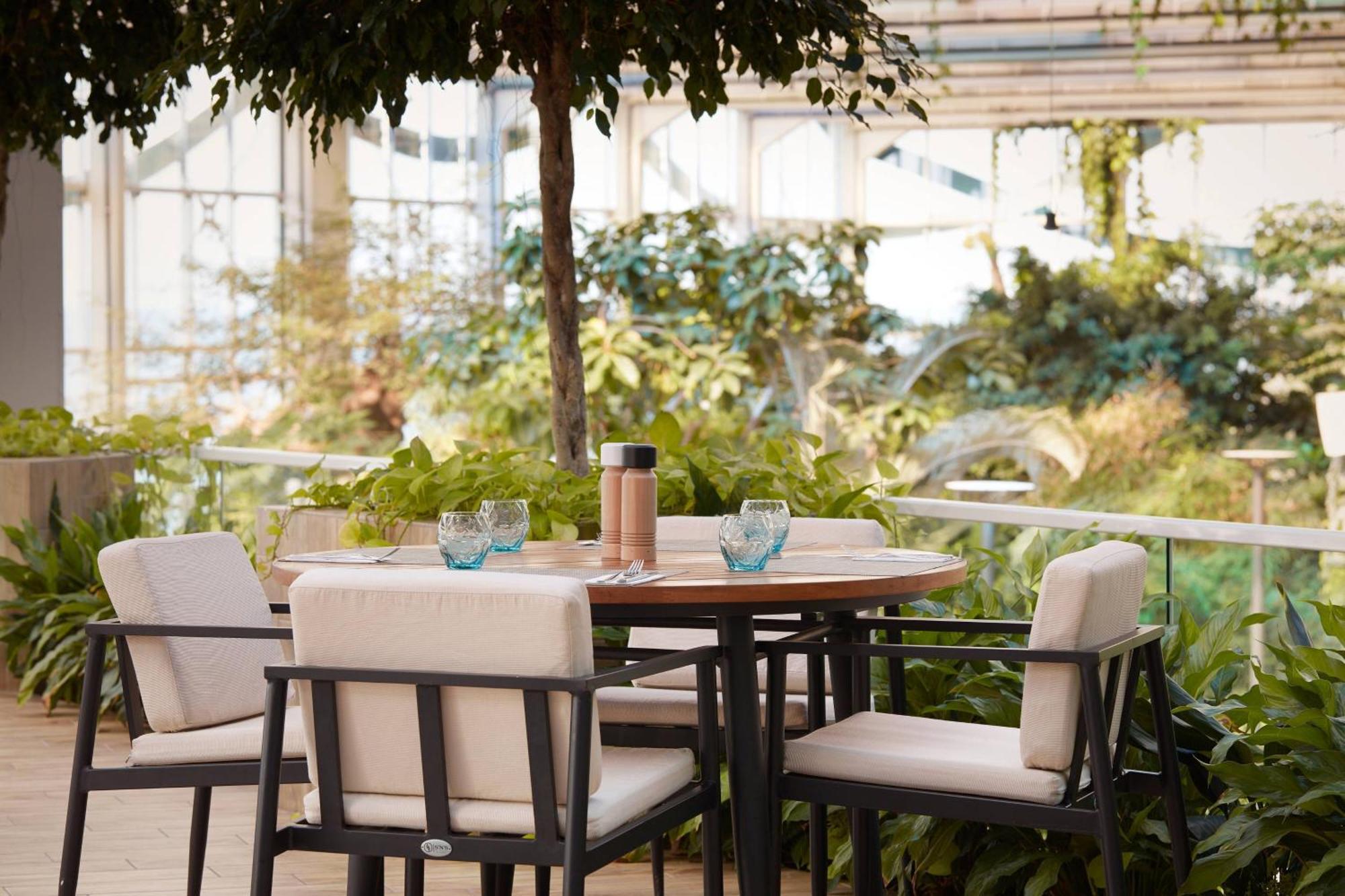 Paragraph Resort & Spa Shekvetili, Autograph Collection Εξωτερικό φωτογραφία The Terrace