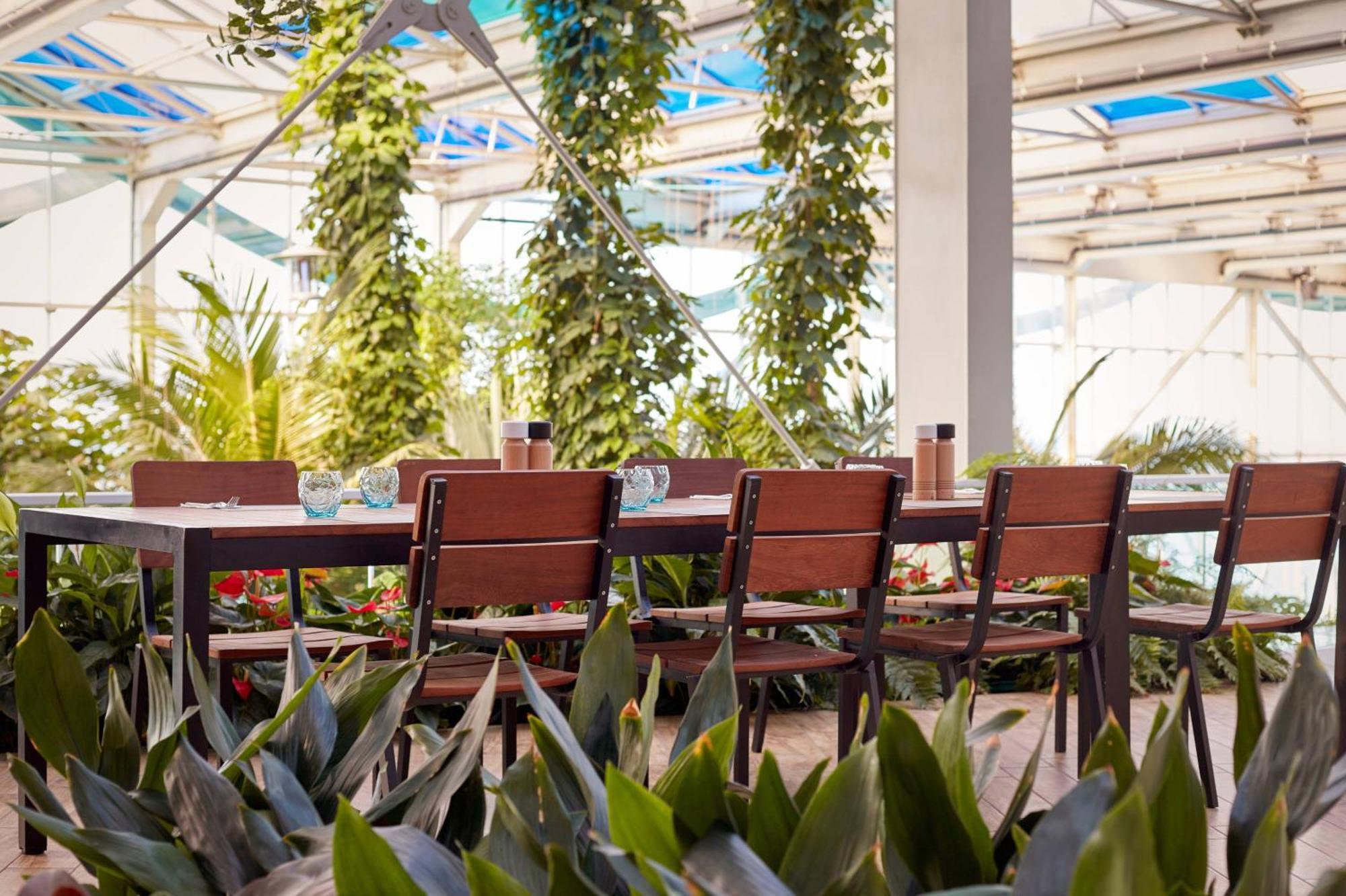 Paragraph Resort & Spa Shekvetili, Autograph Collection Εξωτερικό φωτογραφία The restaurant