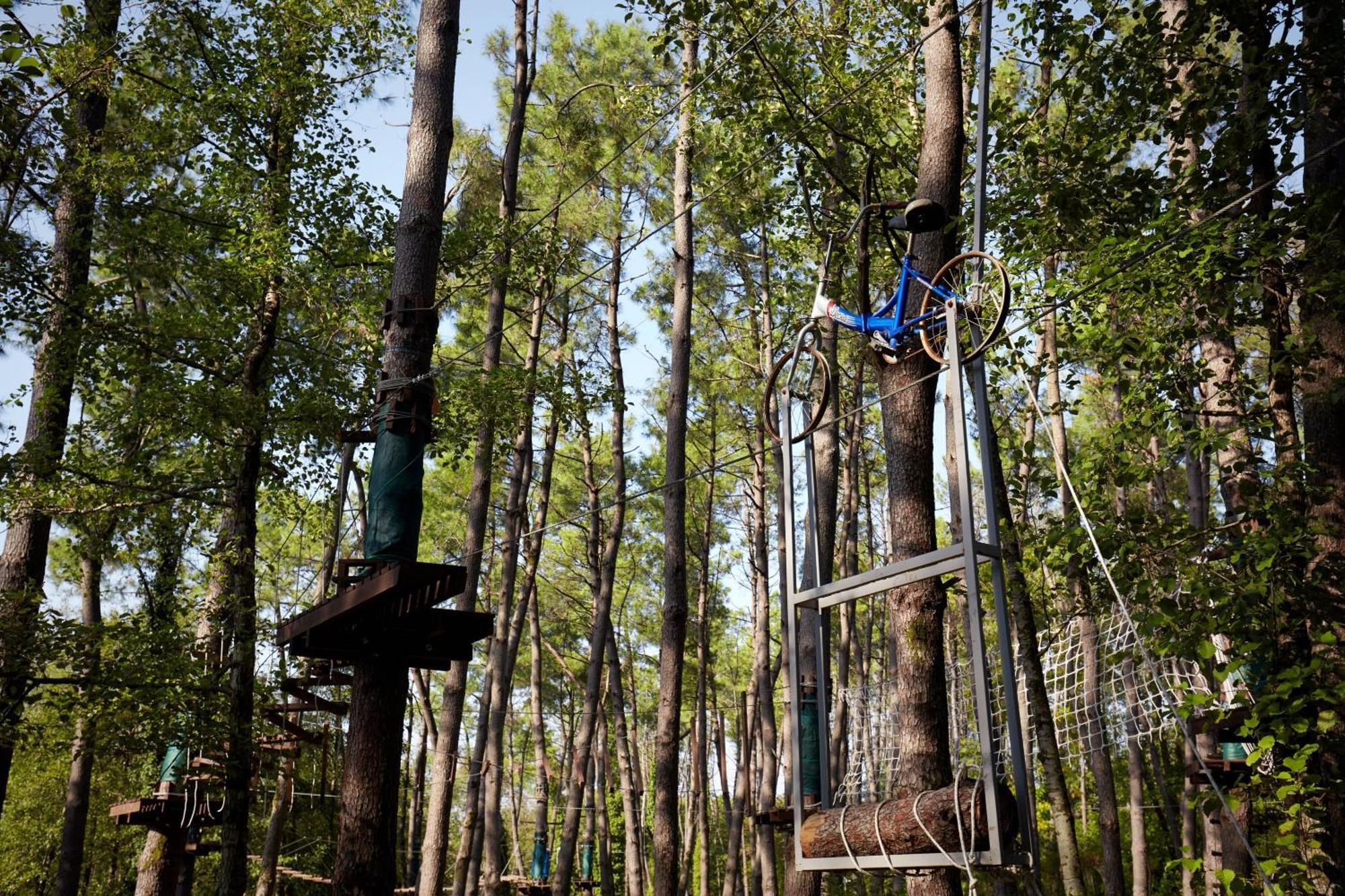 Paragraph Resort & Spa Shekvetili, Autograph Collection Εξωτερικό φωτογραφία Adventure Park in the forest
