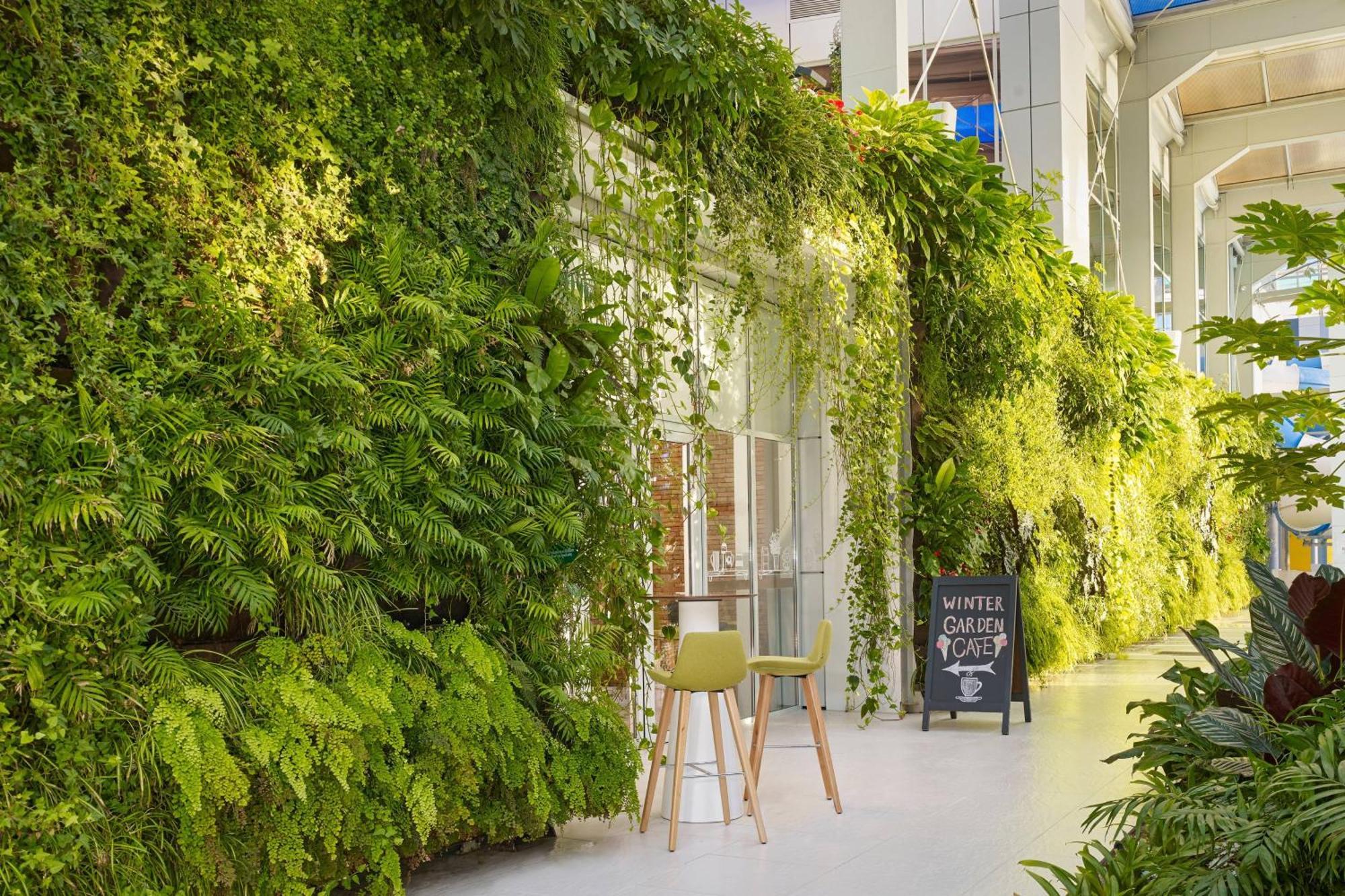 Paragraph Resort & Spa Shekvetili, Autograph Collection Εξωτερικό φωτογραφία Living wall